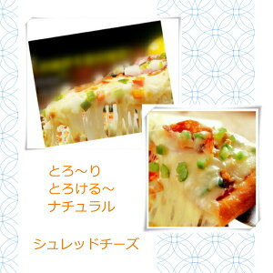 Vbh`[Y Ɩp sUp S[_Ebc@EZ[X2̃`[Y~bNXVbh`[YIVbh`[Y1kg×3pbN