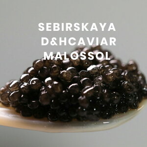 yX̖AōāzD&H@caviar@v~ATCxALrA@hCcYTCxALrA25g