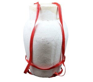 hV̓ Mtg 2025 ł̔̔l Ћ  15N 9000ml (9L) P auh aj v[g yr[玟񂨂܂z (ꑗ)