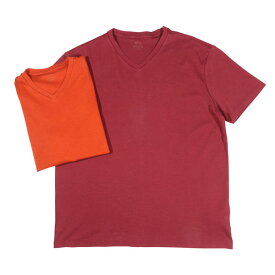 altea アルテア Vネック半袖Tシャツ 1965203 メンズ 春夏 コットン トップス イタリア製 並行輸入品 ラッピング無料 送料無料 31024