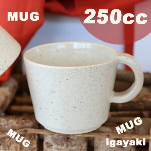 ɉă}OJbv@ItzCg/Jbv/e250cc8/JtFI/킢//IV/{/Lb`pi/傫}OJbv