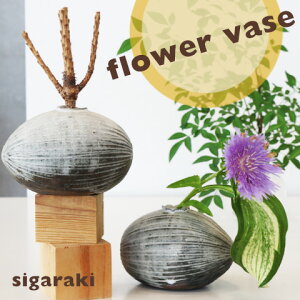 ^}S^Ԋ/Myā@t[x[X@7cm ~jԕr/ԓ/Ԃт/bsO/CeAG//G/ȃCeAG