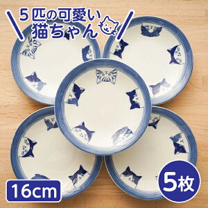 5cats L M 16cm 5 { H  ꕔn揜  n` m h ~P XReBbV M hgM ͂ SHICHITA ˂ Z V`^