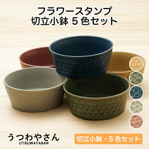 t[X^v ؗ 5FZbg 13.3cm  x[W/O[/lCr[/O[/Cbh 5Zbg { Z  CX^f H {E t[