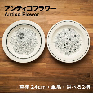 pX^v[g M H 24cm AeBRt[ ubT u[P ԕ g JtF JtF Lb` J[M v[g  { dqWOK Z