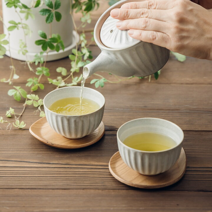 楽天市場】湯呑み 茶托 5客セット 粉引グレー 送料無料 来客用 菊型 