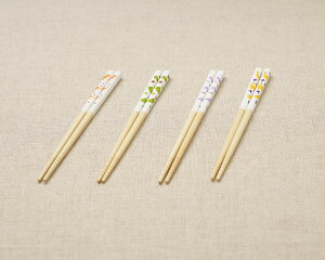 食洗機対応 恐竜 お箸 1膳 19.5cm 子ども向 トリケラトプス/ブラキオサウルス/プテラノドン/ティラノサウルス 小学生 ジュニア箸 日本製 メール便発送可能 子供 こども お弁当用にも