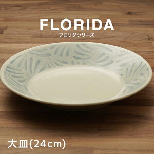 �t�����_ �u���[���O���[�� ��M �H�� ���{�� 24cm �p�X�^�M �v���[�g �s�[�R�b�N�O���[�� �u���[ �A�C�{���[ ���Z��