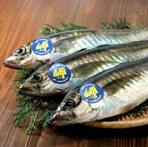 AW i300`400gjVR{ނ Q l璼  FaC̍K≮ QSݓX