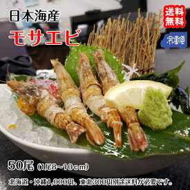 鳥取 境港 モサエビ 10尾×5p 約8-10cm/1尾 冷凍 甘エビを超える旨さ 幻のエビ 送料無料 北海道、沖縄、東北は別途送料 宇和海の幸問屋 トゲクロザエビ ガスエビ ドロエビ ガサエビ チャガスエビ ツチエビ ホンモサ ガラエビ