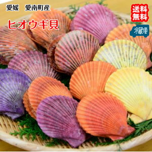 qIEML i30j Q  z^e𒴂ZȎ| g莟l甭  kC//k͕ʓr FaC̍K≮ QSݓX