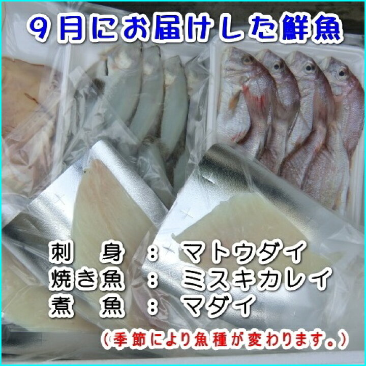 1033円 最大63 オフ 愛媛 カサゴ 1 0gサイズ 400 500g原体分 1033円 最大63 オフ 愛媛 カサゴ 1 0gサイズ 400 500g原体分
