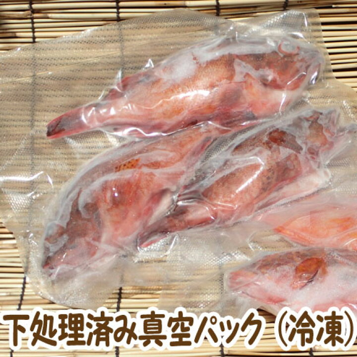 1033円 最大63 オフ 愛媛 カサゴ 1 0gサイズ 400 500g原体分 1033円 最大63 オフ 愛媛 カサゴ 1 0gサイズ 400 500g原体分