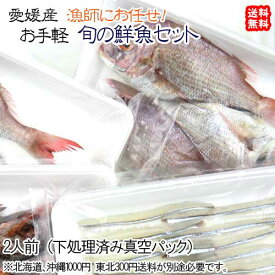 楽天市場 魚セットの通販 楽天市場 魚セットの通販