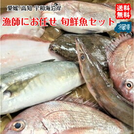 漁師におまかせ 旬鮮魚セット （小） 黒潮鮮魚 刺身 煮魚 焼魚 浜から直送 送料無料 北海道/沖縄/東北は別途送料 宇和海の幸問屋 愛媛百貨店