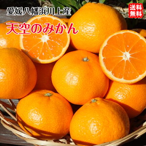 天空のみかん 贈答用 (10kg) 愛媛 八幡浜 川上産 農地直送 送料無料 宇和海の幸問屋 愛媛百貨店