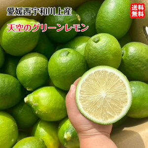 Ṽ ̍ 󂠂 i3kg 15`25j Q Fa Y _n  FaC̍K≮