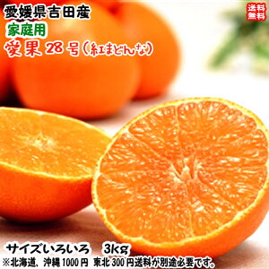 ����28�� �g�܂ǂ�� �ƒ�p �i3kg�j �T�C�Y�t���[ ���Q �g�c�Y ���ɂȂ�[���[�Ȋ��k �������� �F�a�C�̍K�≮