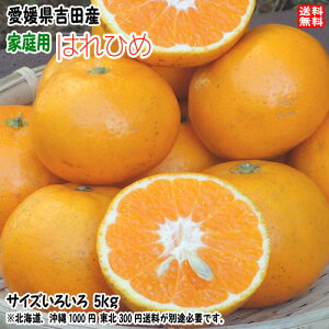 �͂�Ђ� �ƒ�p �i5kg�j �T�C�Y�t���[ ���Q �F�a�� �g�c�Y �������� �k�C��/����/���k�͕ʓr���� �F�a�C�̍K�≮