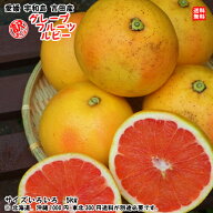 グレープフルーツ（ルビー） 訳あり 5kg サイズ不揃い 愛媛 宇和島 吉田産 農地から直送 送料込み 北海道…