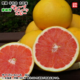 グレープフルーツ（ルビー） 家庭用 5kg サイズ不揃い 愛媛 宇和島 吉田産 農地から直送 送料込み 北海道/沖縄/東北は別途送料 宇和海の幸問屋 愛媛百貨店