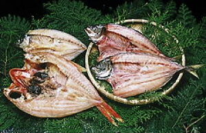 AW̊J i100~150g×5j Ⓚ Q c l璼  kC//k͕ʓr FaC̍K≮ QSݓX