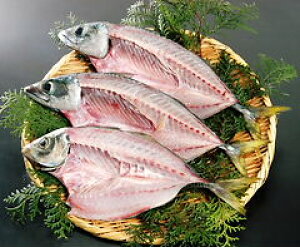 AW̊J i150~200g×5j Ⓚ Q c l璼  kC//k͕ʓr FaC̍K≮ QSݓX