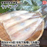 サバフグ 身欠き 冷凍 （4〜6匹で900~1000g） 愛媛 佐田岬産 お手軽下処理済み 送料無料 北海道/沖縄/東…