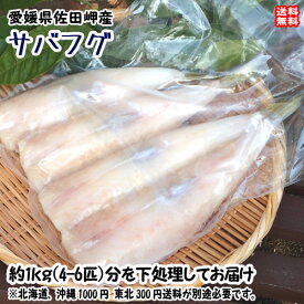 楽天市場 サバフグ 1kgの通販