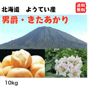 Ⴊ j   i10kgj LTCY kC 悤ĂY _n  nʓ{ FaC̍K≮