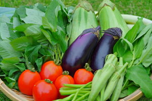 ̂ { i6-7ij Q SɂC ΒȎRn_ň_  kC//k͕ʓr FaC̍K≮ QSݓX