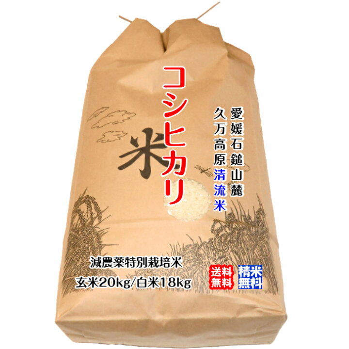 楽天市場】コシヒカリ （玄米20kg or 白米18kg） 2024年令和6年産 愛媛 