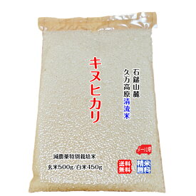 キヌヒカリ 玄米500g/白米450g 2023年産 愛媛 石鎚山麓 久万高原 清流米 減農薬 特別栽培米 高原清流が育んだお米 百姓直送 メール便 送料無料 宇和海の幸問屋 愛媛百貨店