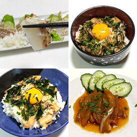 真鯛4種詰め合わせ （3食パック×4種 ）冷凍 愛媛 送料無料 北海道/沖縄/東北は別途送料 宇和海の幸問屋