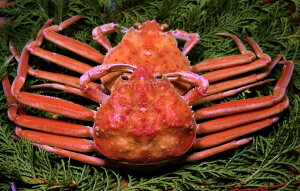 ZRKj 挧 `Y Ԍ 11/10`12  kC//k͕ʓr FaC̍K≮