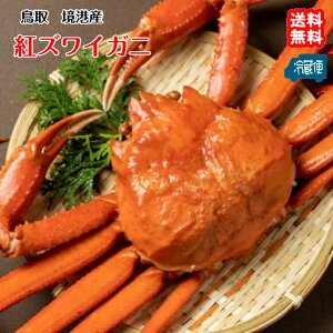 gYCKj i  400-500g×1tj  ` /Ă/T_  kC//k͕ʓr FaC̍K≮