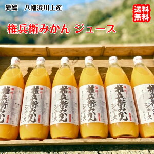 q݂W[X Q l Y _n  FaC̍K≮ QSݓX