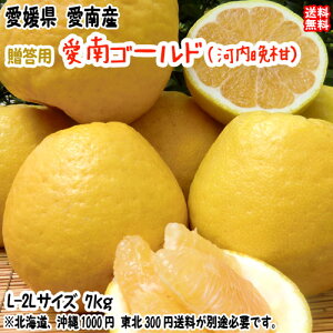 ����S�[���h �͓��ӊ� �i�����p 7kg�j���Q ���쒬�Y �u�₩�W���[�V�[�ȉĂ̊��k �u�����h�̕i�� �������� �F�a�C�̍K�≮ ���Q�S�ݓX