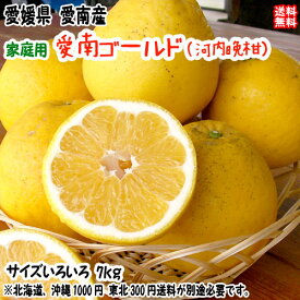 愛南ゴールド 河内晩柑 （家庭用 7kg） サイズ不揃い 愛媛 愛南町産 爽やかジューシーな夏の柑橘 ブランドの品質 送料無料 宇和海の幸問屋 愛媛百貨店