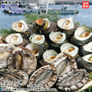 黒アワビ (1-2枚で150-200g) & サザエ(8-12個で900-1000g) 愛媛 浜から直送 送料無料 北海道/沖縄/東北は別途送料 宇和海の幸問屋 愛媛百貨店