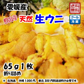 愛媛 天然 ウニ 訳あり 60g1枚 紫ウニ 赤ウニ 素潜り海士 送料無料 浜から直送 宇和海の幸問屋 愛媛百貨店