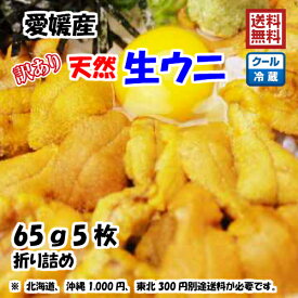 愛媛 天然 ウニ 訳あり 65g5枚 紫ウニ 赤ウニ 素潜り海士 送料無料 浜から直送 宇和海の幸問屋 愛媛百貨店