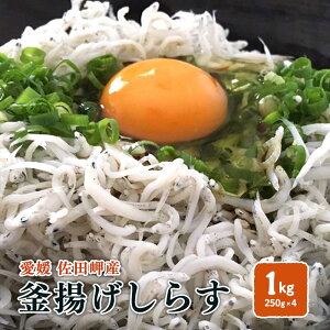 g炷 1kg i250g×4pj① Q cY l璼  kC//k͕ʓr FaC̍K≮ QSݓX