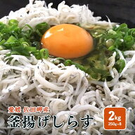 釜揚げしらす 2kg （250g×8p）冷蔵便 愛媛 佐田岬産 送料無料 北海道/沖縄/東北は別途送料 宇和海の幸問…