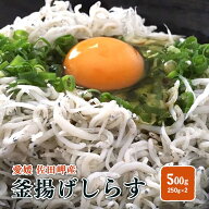 【釜揚げしらす 500g】（250g×2p）冷蔵便 愛媛 佐田岬産 浜から直送 送料無料 しらす丼 サラダ かき揚げ…