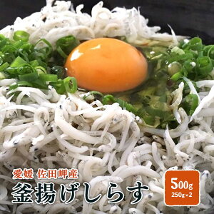 g炷 500g i250g×2pj ① Q cY  kC//k͕ʓr FaC̍K≮ QSݓX