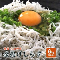 釜揚げしらす 6kg （250g×24p）冷蔵便 愛媛 佐田岬産 送料無料 北海道/沖縄/東北は別途送料 宇和海の幸…