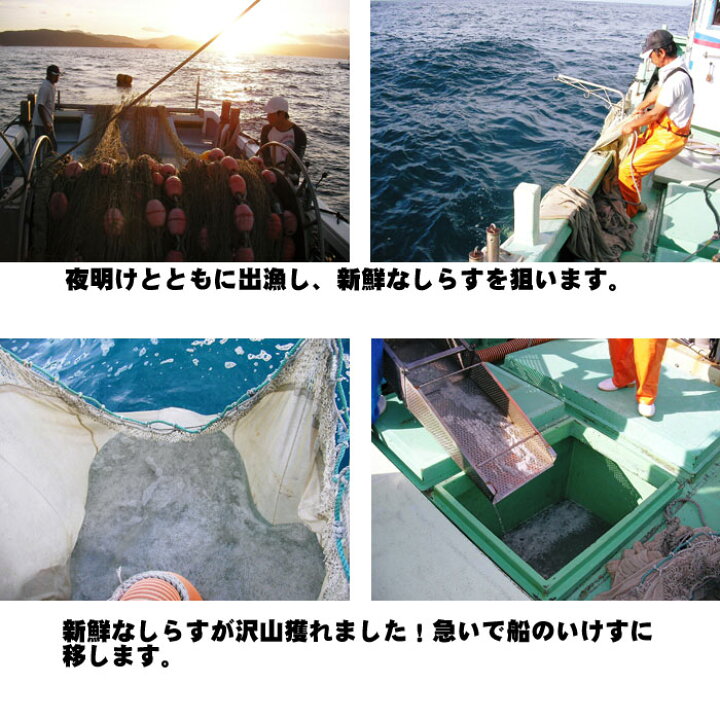 楽天市場】愛媛 佐田岬産 ( 水晶ちりめん ) 大袋 100g×2p 送料無料 メール便 浜から直送 無添加・無着色 宇和海の幸問屋 : 宇和海の幸問屋 楽天市場】愛媛 佐田岬産 ( 水晶ちりめん ) 大袋 100g×2p 送料無料 メール便 浜から直送 無添加・無着色 宇和海の幸問屋 : 宇和海の幸問屋