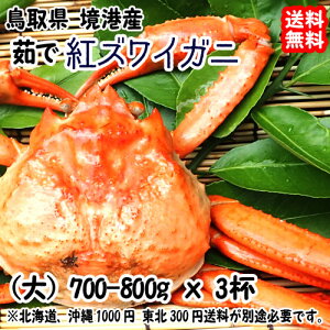 gYCKj lŃ{C  700-900g×3t  ` l䥂Œ ̂܂܂  Ă T_ kCEEk͕ʓr  FaC̍K≮