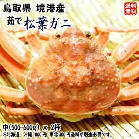 松葉ガニ ズワイガニ （中 500-600gx2杯） 鳥取県 境港産 期間限定 11/10～2月末 送料無料 北海道・沖縄・東北は別途送料 宇和海の幸問屋